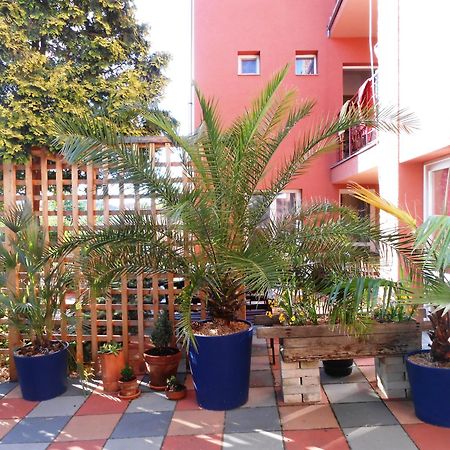 Penzion Vilka Podhajcanka Podhájska Exterior photo